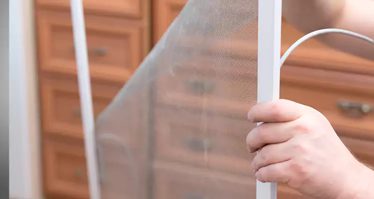 Privacy Mesh Screen Door Installation in Los Gatos, CA